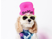 Pet hat