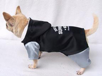 Pet clothes 3
